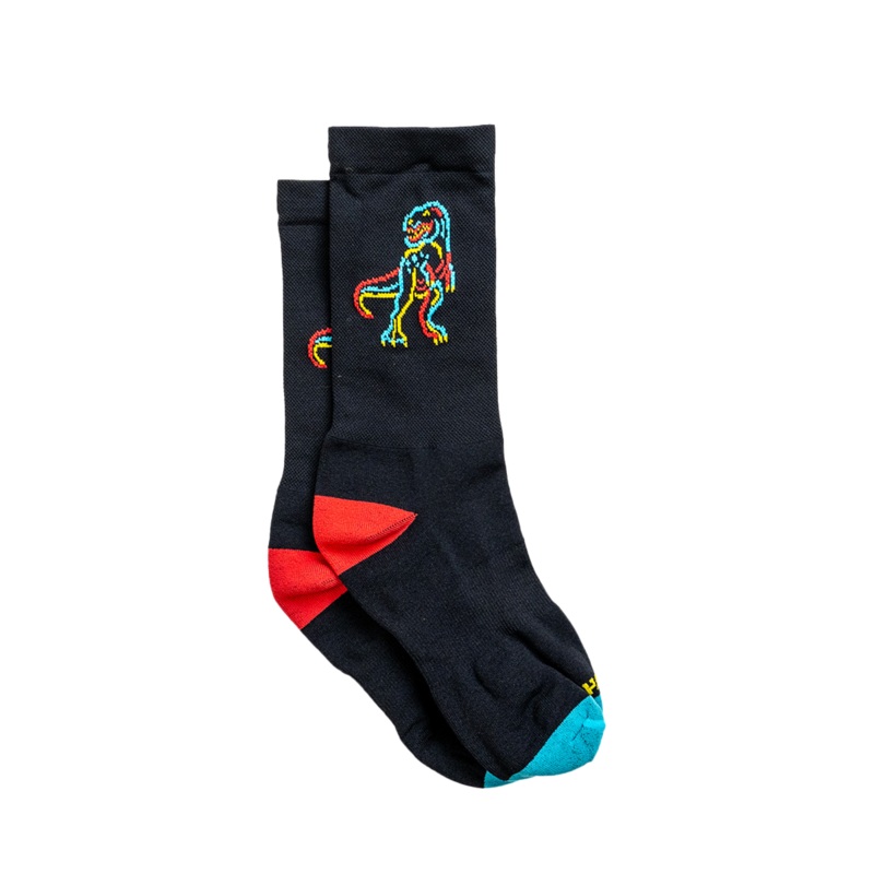 Socks - Dino's End SM / MD