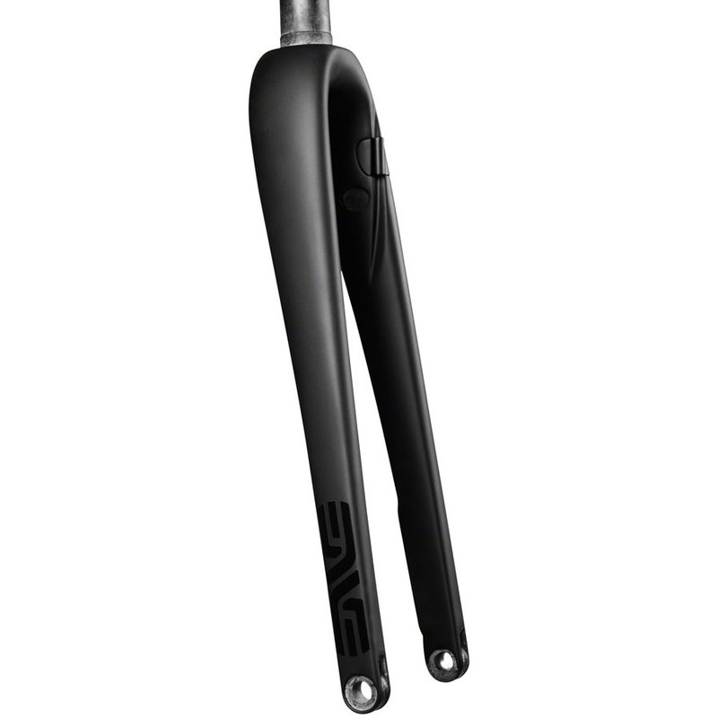 AR Disc Fork - 12 x 100mm Axle, 1-1/4" Tapered Steerer, Flat-Mount Disc, Carbon, Black